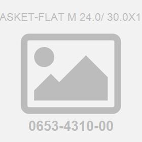 Gasket-Flat M 24.0/ 30.0X1.0
